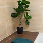 Spacieux Avec Garage Individuel Et Terrasse * シルティグアイム