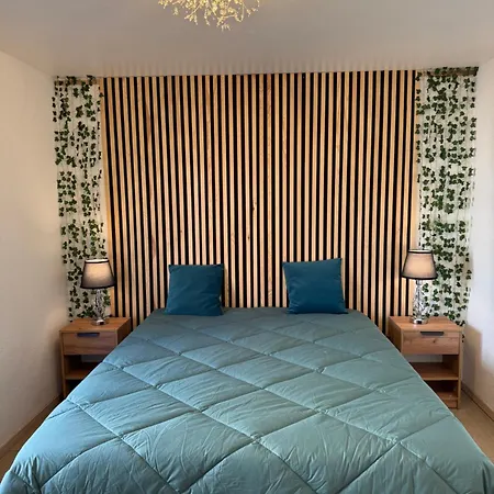 Spacieux Avec Garage Individuel Et Terrasse * Schiltigheim